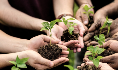 Environmental-NGO